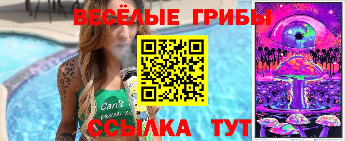 Псилоцибиновые грибы прущие грибы Заволжье