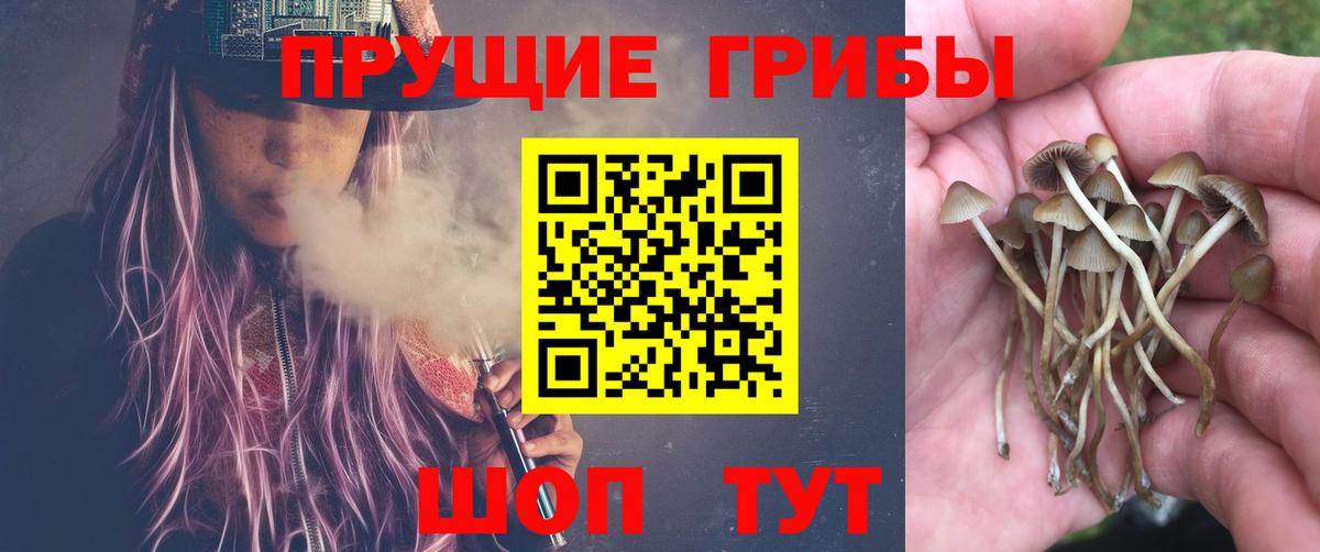 Псилоцибиновые грибы мухоморы  Псилоцибиновые грибы мухоморы  Вход с VPN  Заволжье 