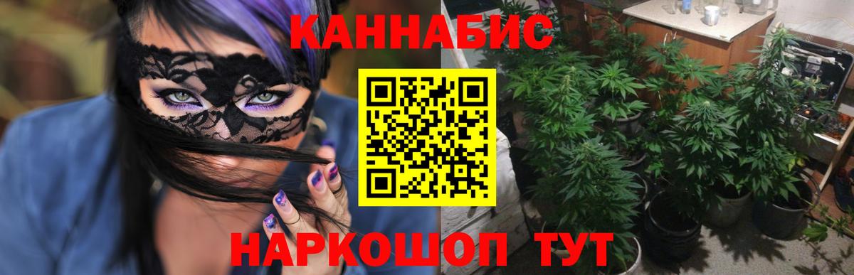 Каннабис SATIVA & INDICA Заволжье